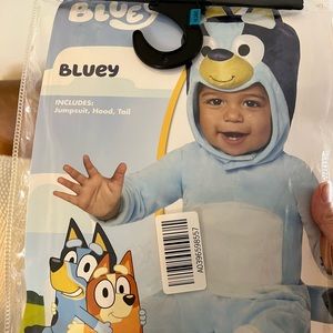 Bluey Costume, size 18-24 months